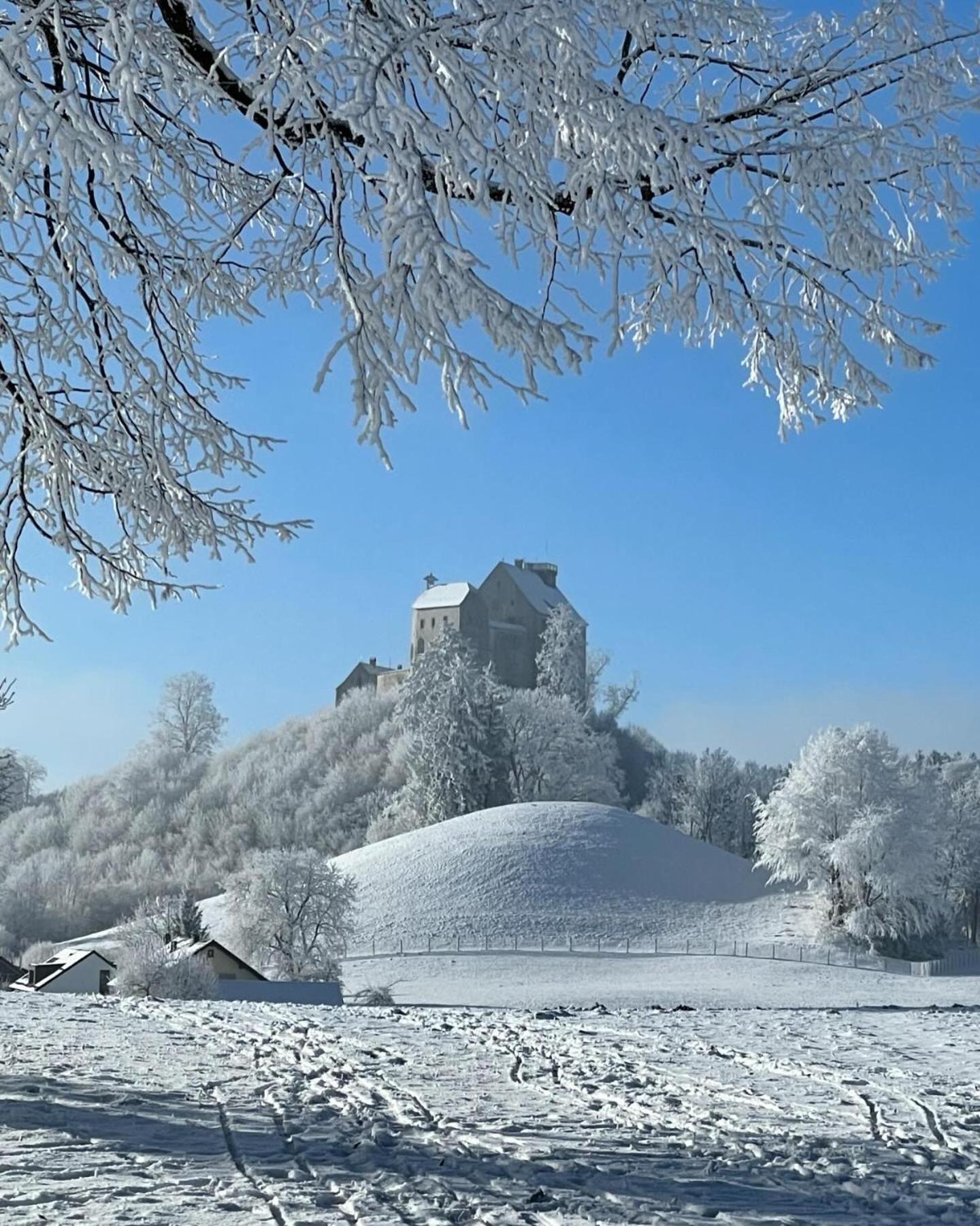 발드부르크 Am Kohlenberg 아파트 외부 사진