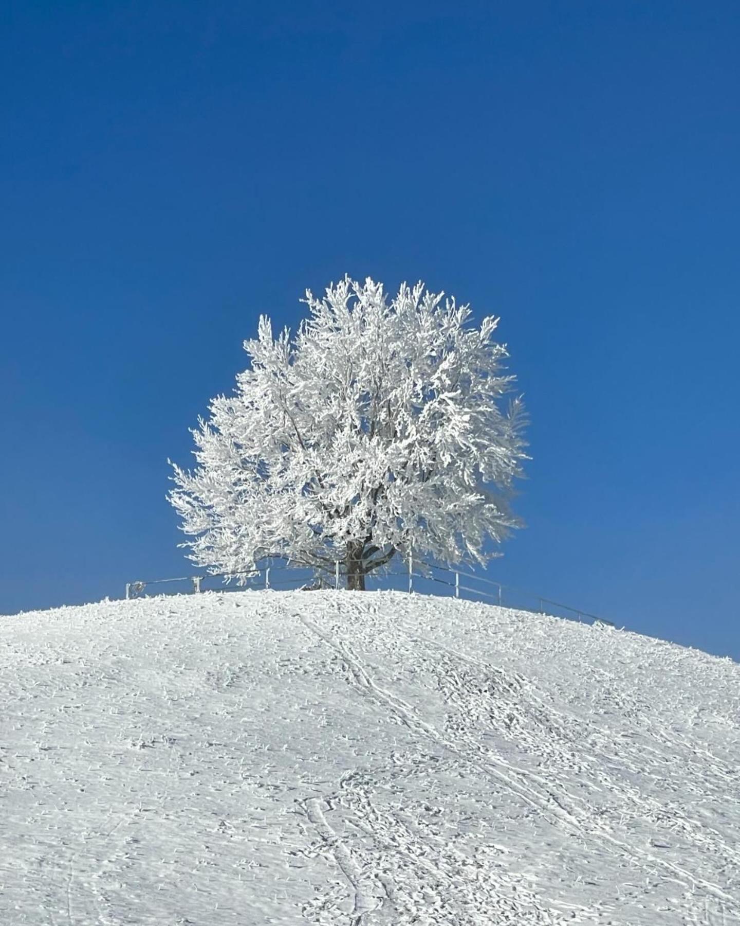 발드부르크 Am Kohlenberg 아파트 외부 사진